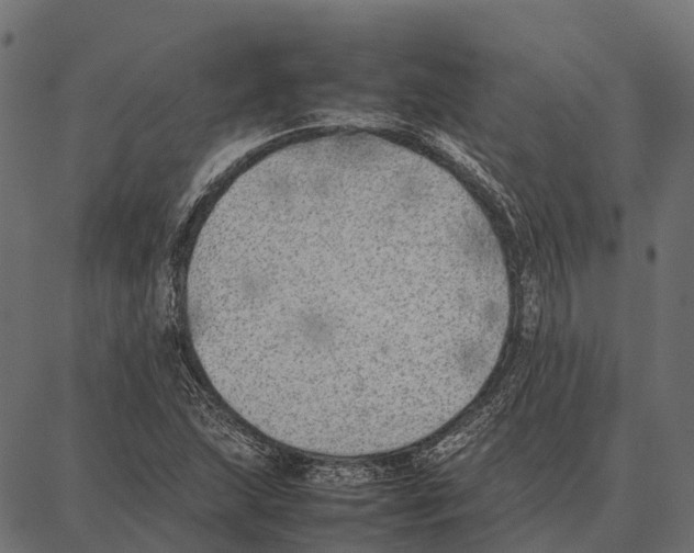 X0000087321215200705181002