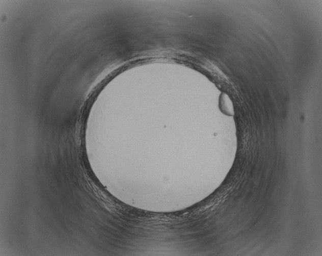 X0000087321216200705181002