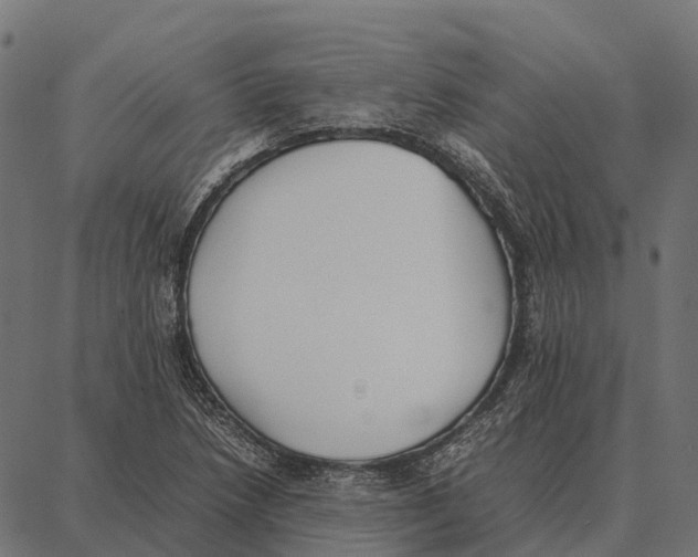 X0000087321218200705181002