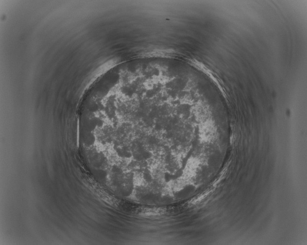 X0000087321219200705181002