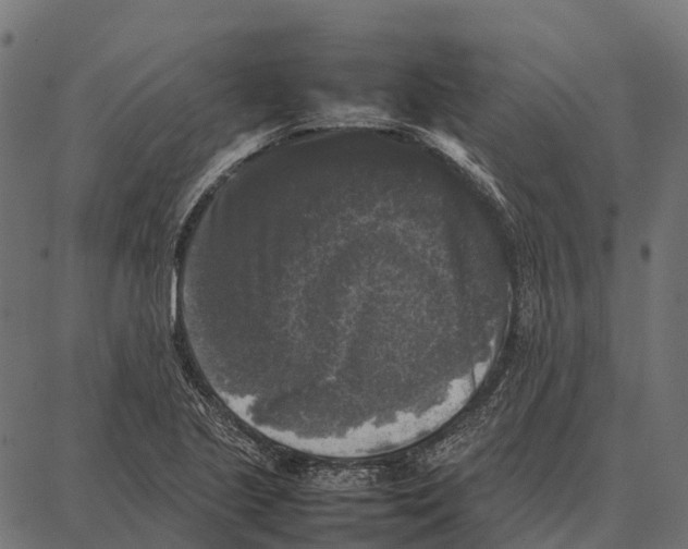 X0000087321221200705181003