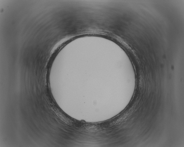 X0000087321222200705181003