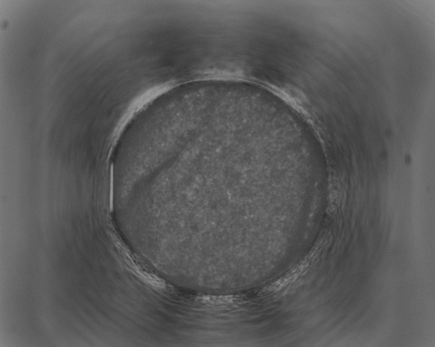 X0000087321223200705181003