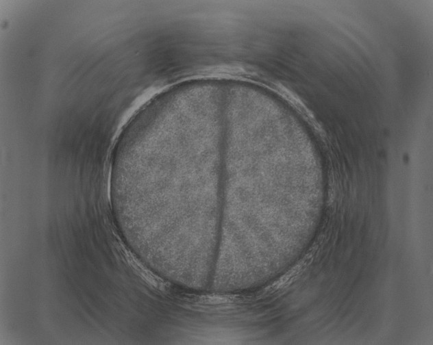 X0000087321224200705181003