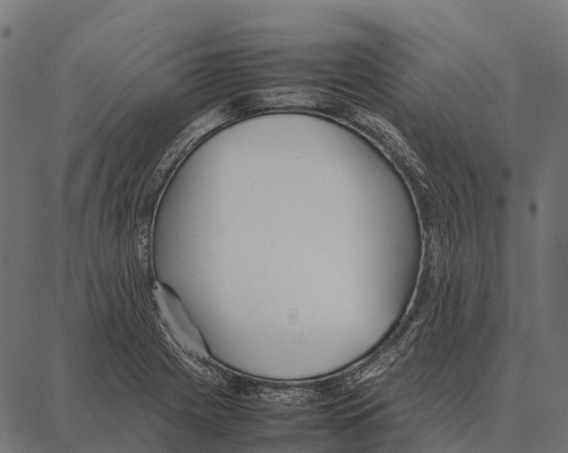 X0000087321225200705181003