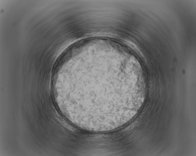 X0000087321228200705181003