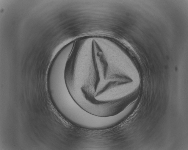 X0000087321230200705181003