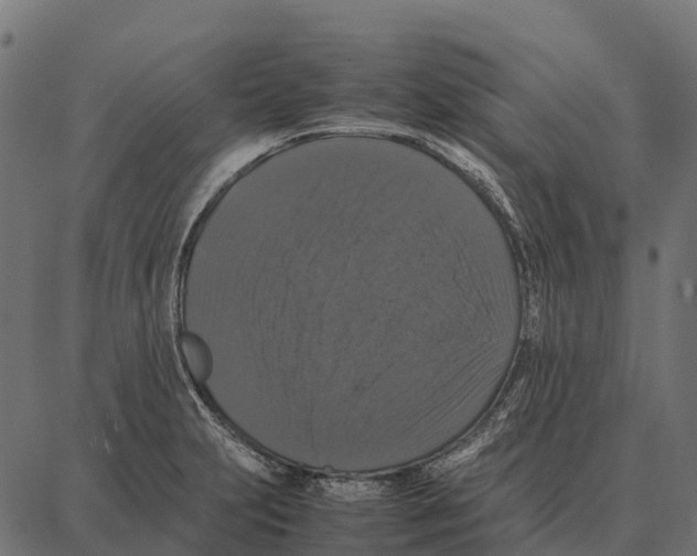 X0000087321231200705181003