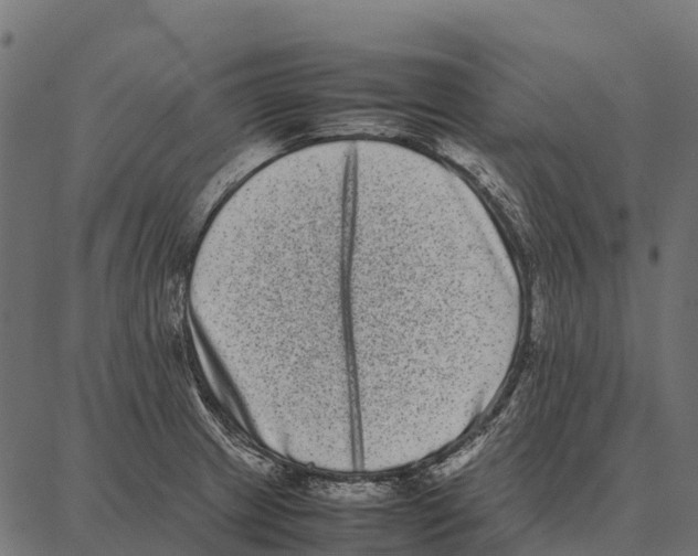 X0000087321233200705181003