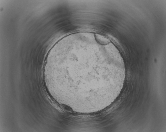 X0000087321236200705181003