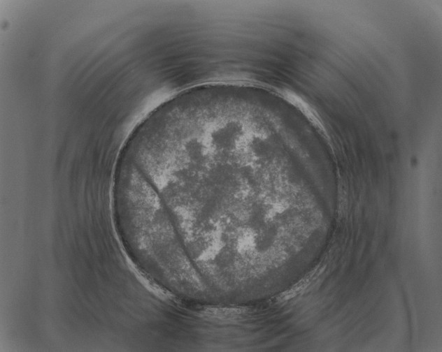 X0000087321237200705181003