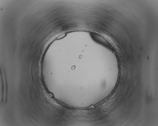 X0000087321238200705181003