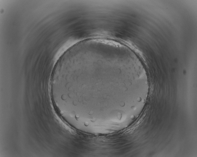 X0000087321239200705181003