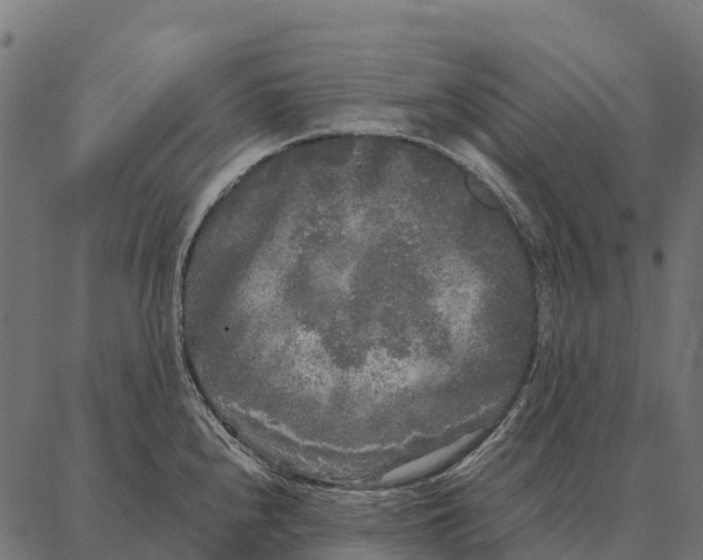 X0000087321240200705181003