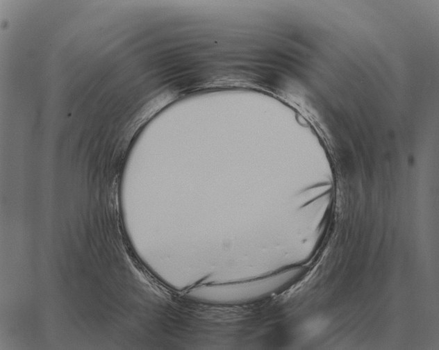 X0000087321241200705181003