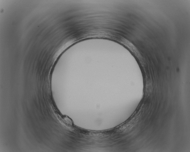 X0000087321242200705181003