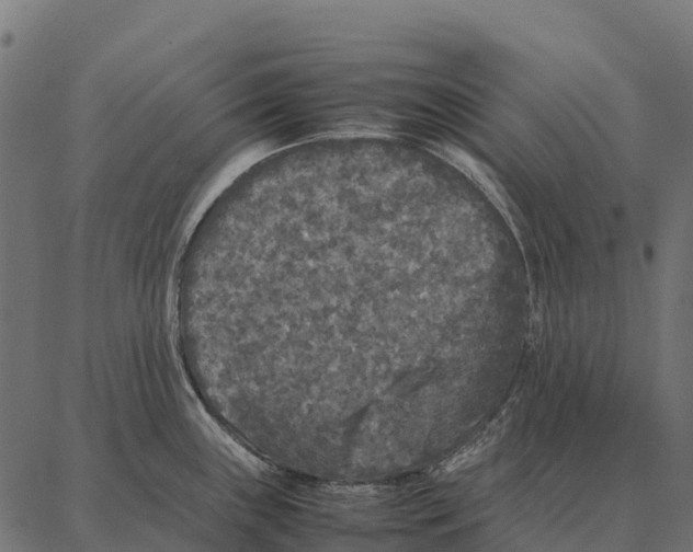 X0000087321243200705181003