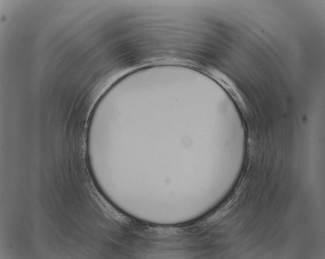 X0000087321244200705181003