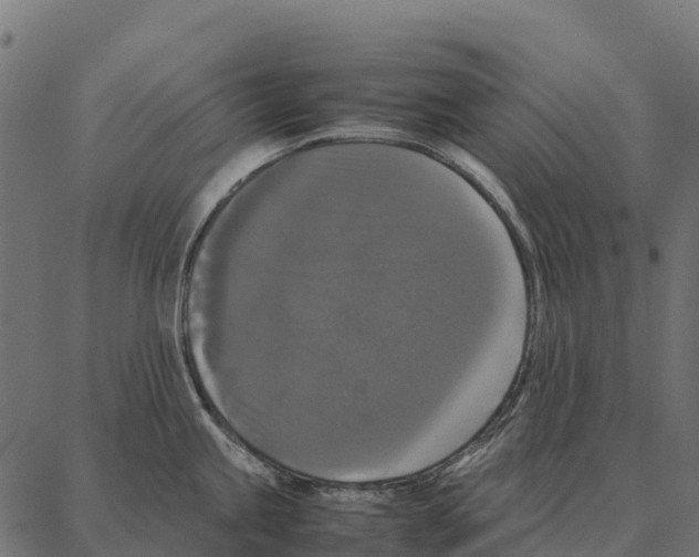 X0000087321245200705181003