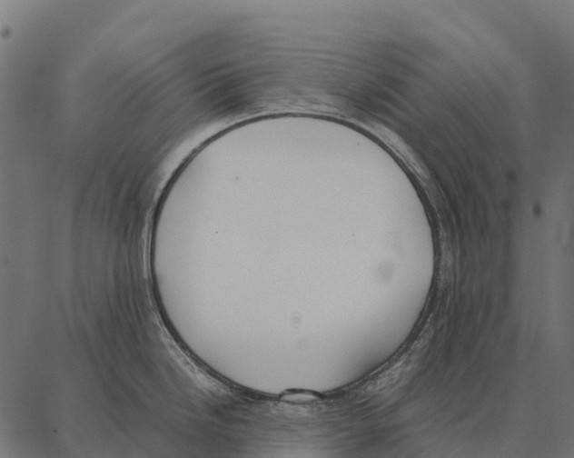 X0000087321246200705181003