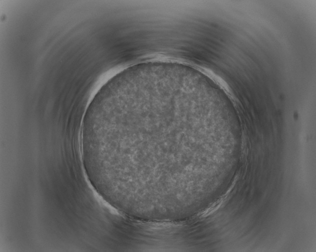 X0000087321247200705181003