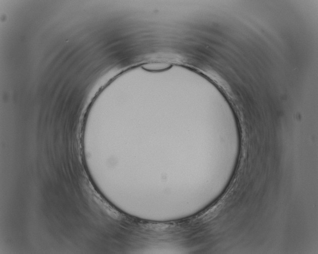 X0000087321248200705181003