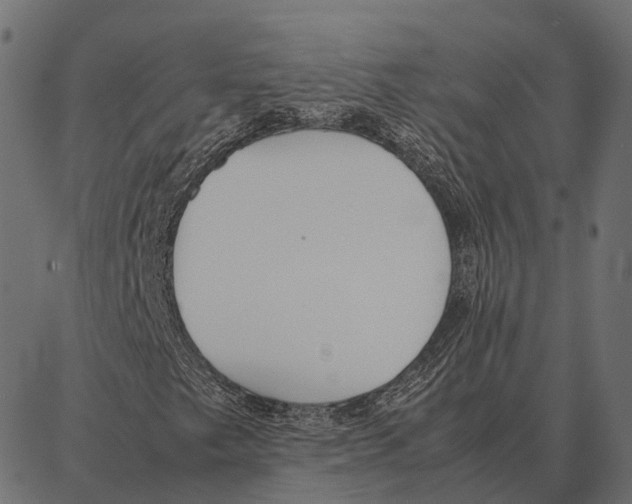 X0000087321249200705181002