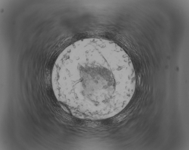 X0000087321251200705181002