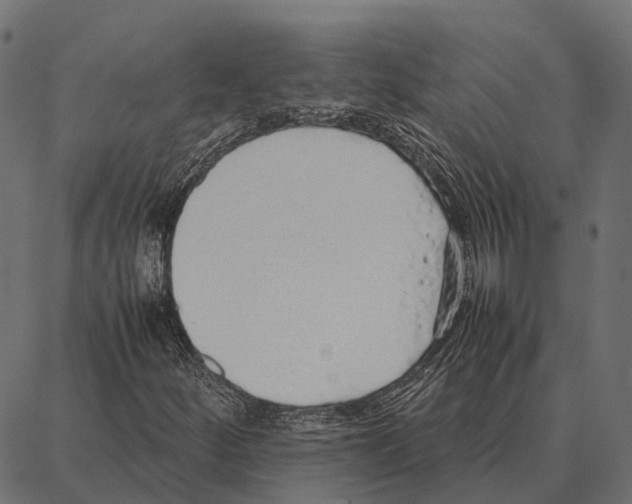 X0000087321252200705181002