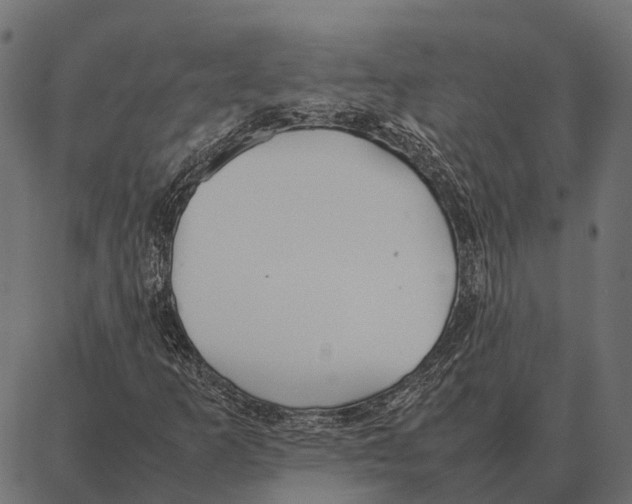 X0000087321253200705181002