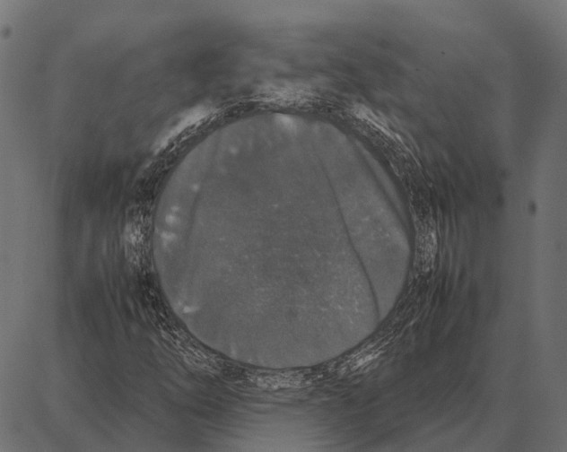 X0000087321254200705181002