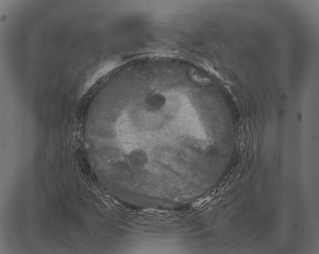 X0000087321255200705181002