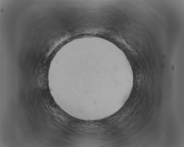 X0000087321256200705181002