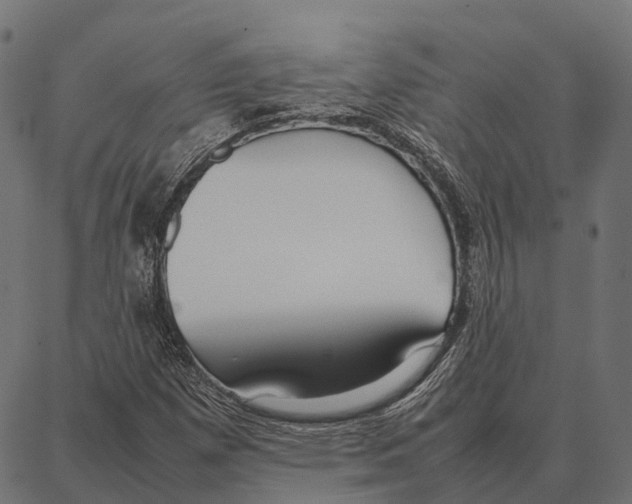 X0000087321257200705181002