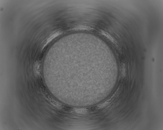 X0000087321258200705181002