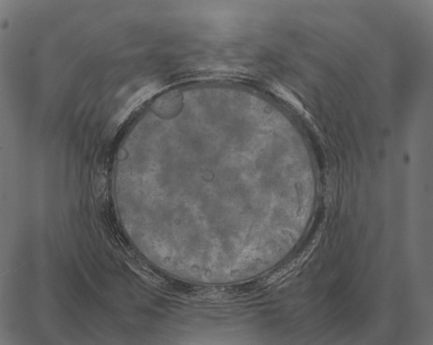 X0000087321259200705181002