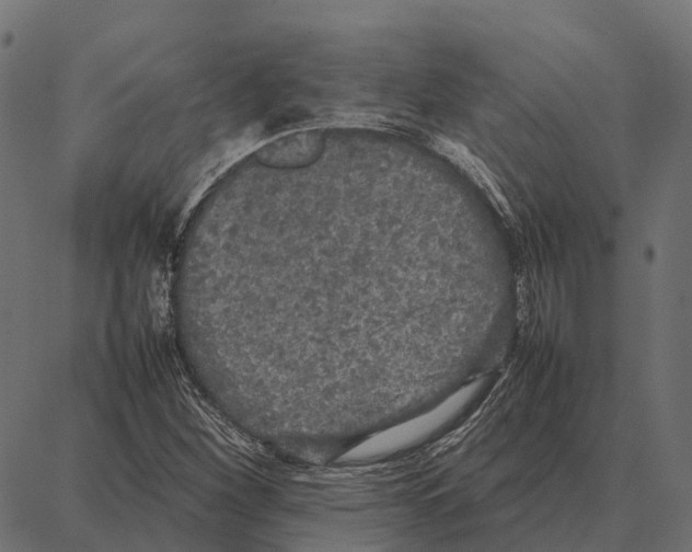 X0000087321260200705181002