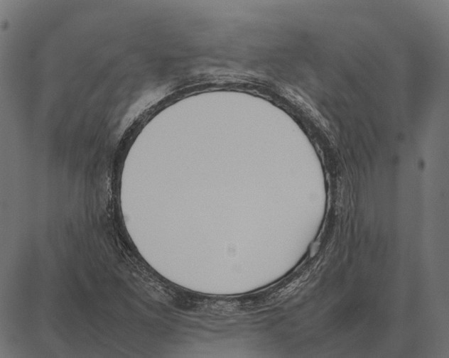 X0000087321261200705181002