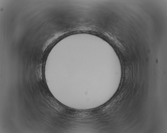 X0000087321262200705181002