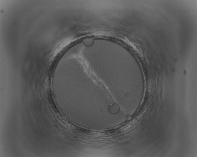 X0000087321263200705181002