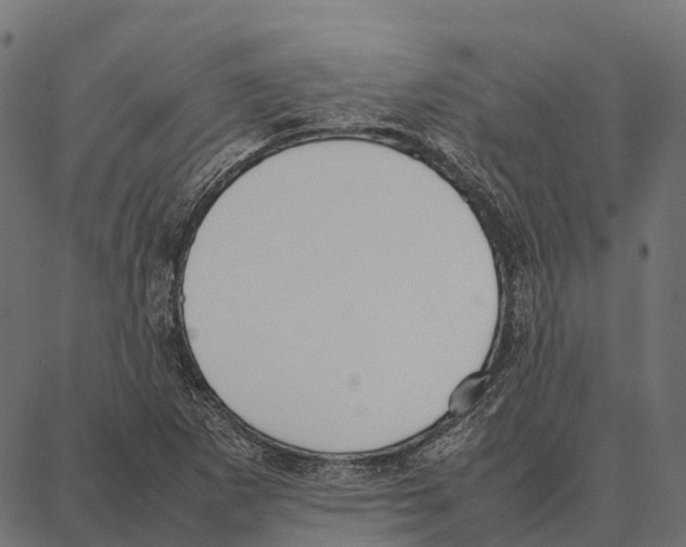 X0000087321265200705181002