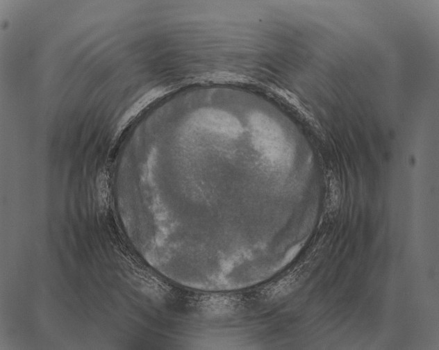 X0000087321266200705181002