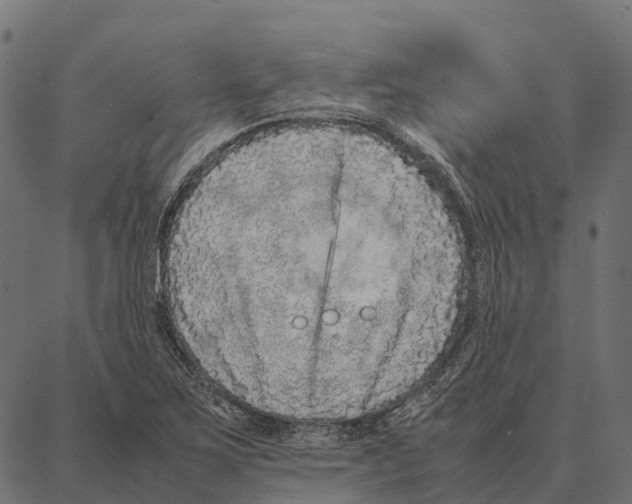 X0000087321267200705181002