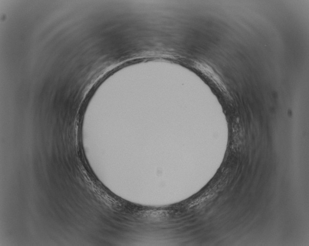 X0000087321268200705181002