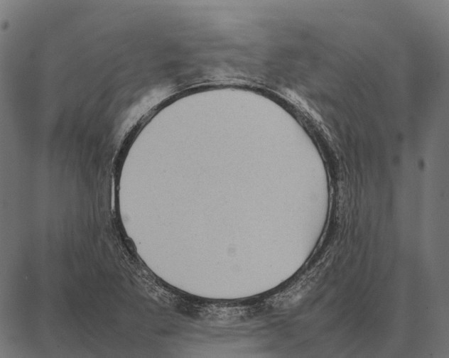 X0000087321269200705181002