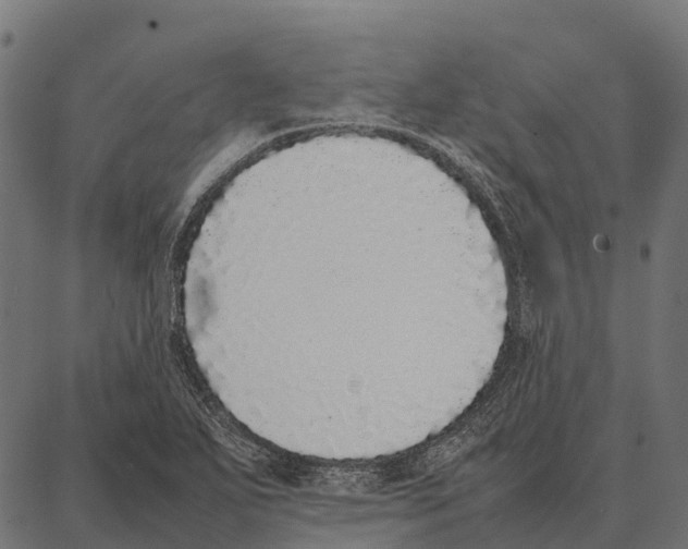 X0000087321271200705181002