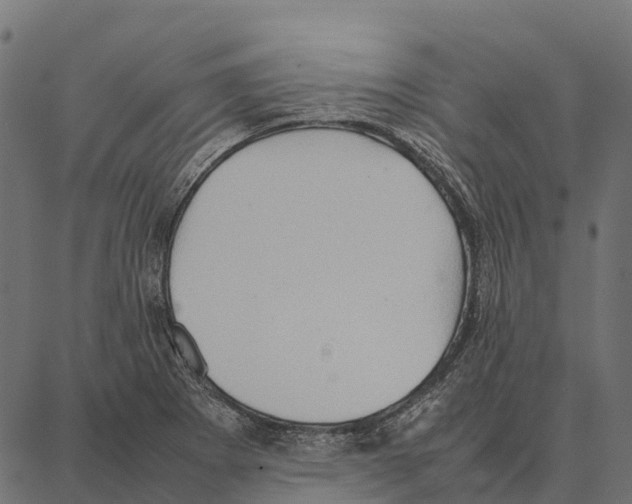 X0000087321273200705181002