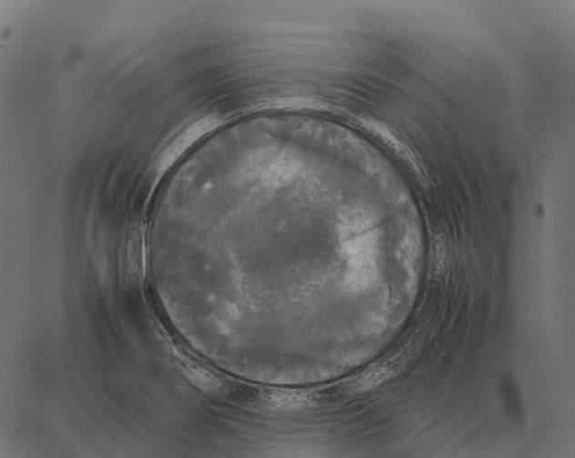 X0000087321274200705181002