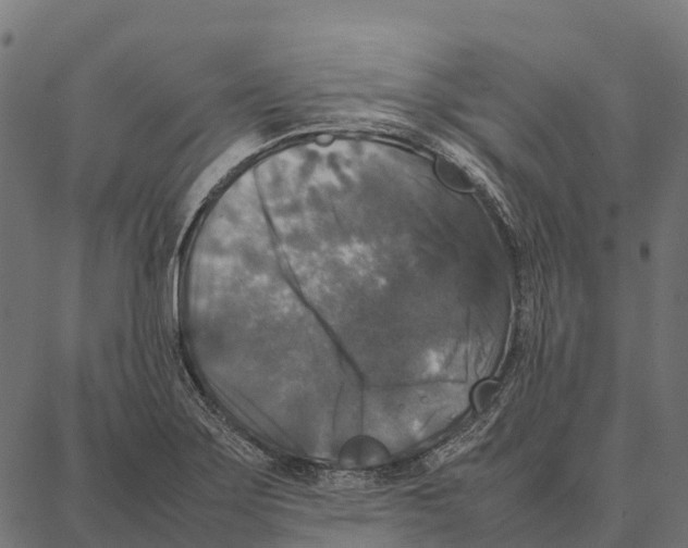 X0000087321275200705181002