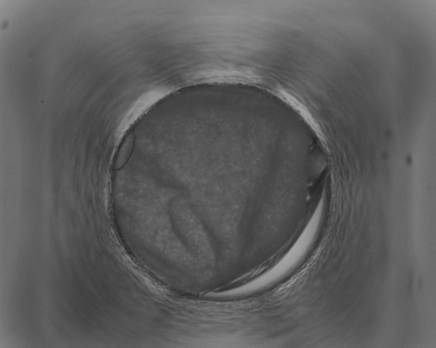 X0000087321277200705181002